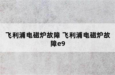 飞利浦电磁炉故障 飞利浦电磁炉故障e9